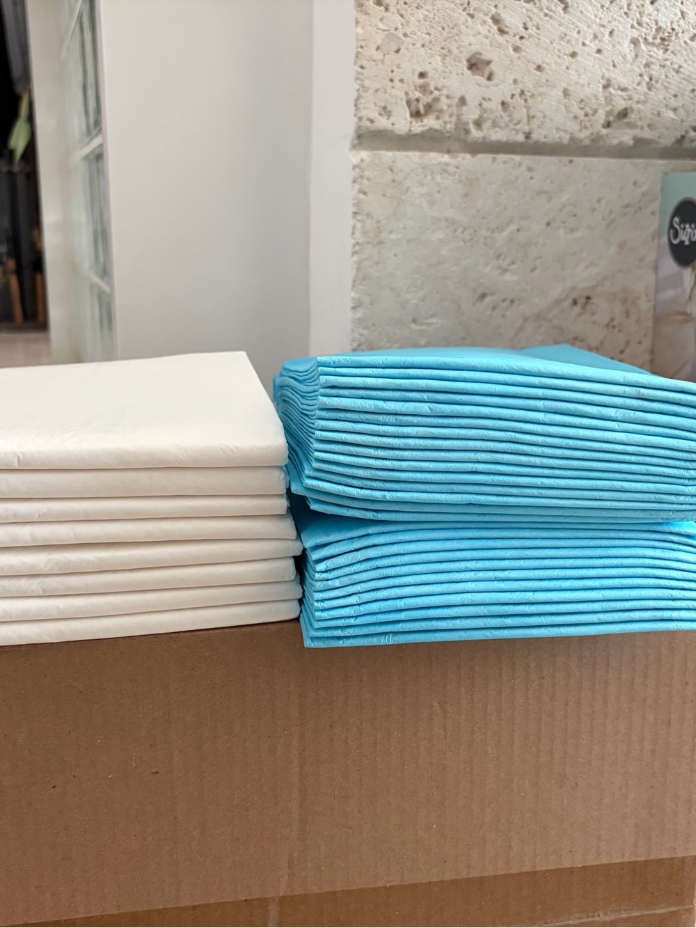 Disposable Dog Training Pads - Blue and Cream Absorbent Pack